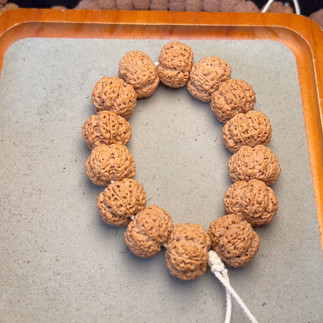 菩提5号金刚菩提梁梅花25