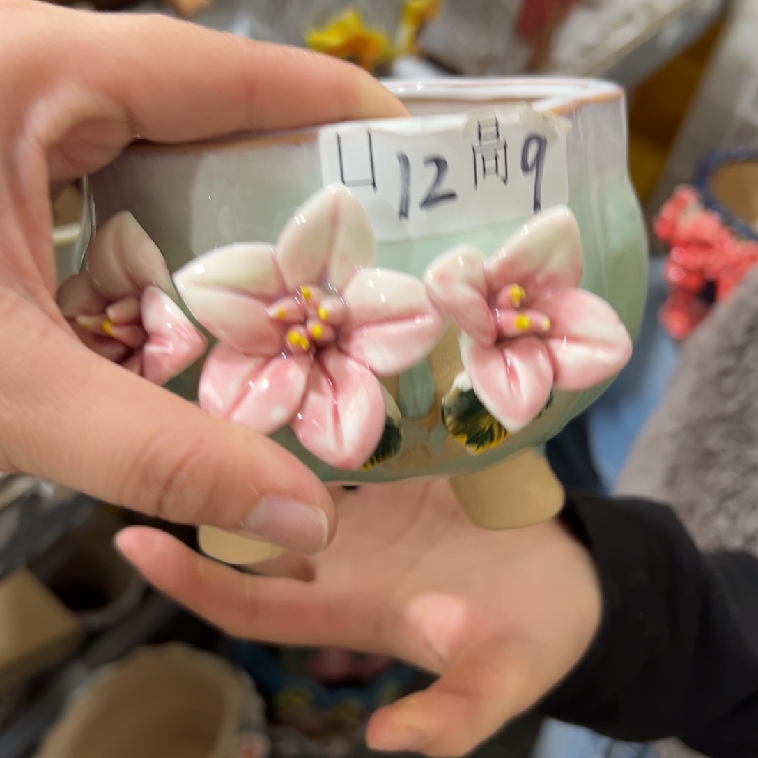 花盆，拍满20发货，退款拉黑