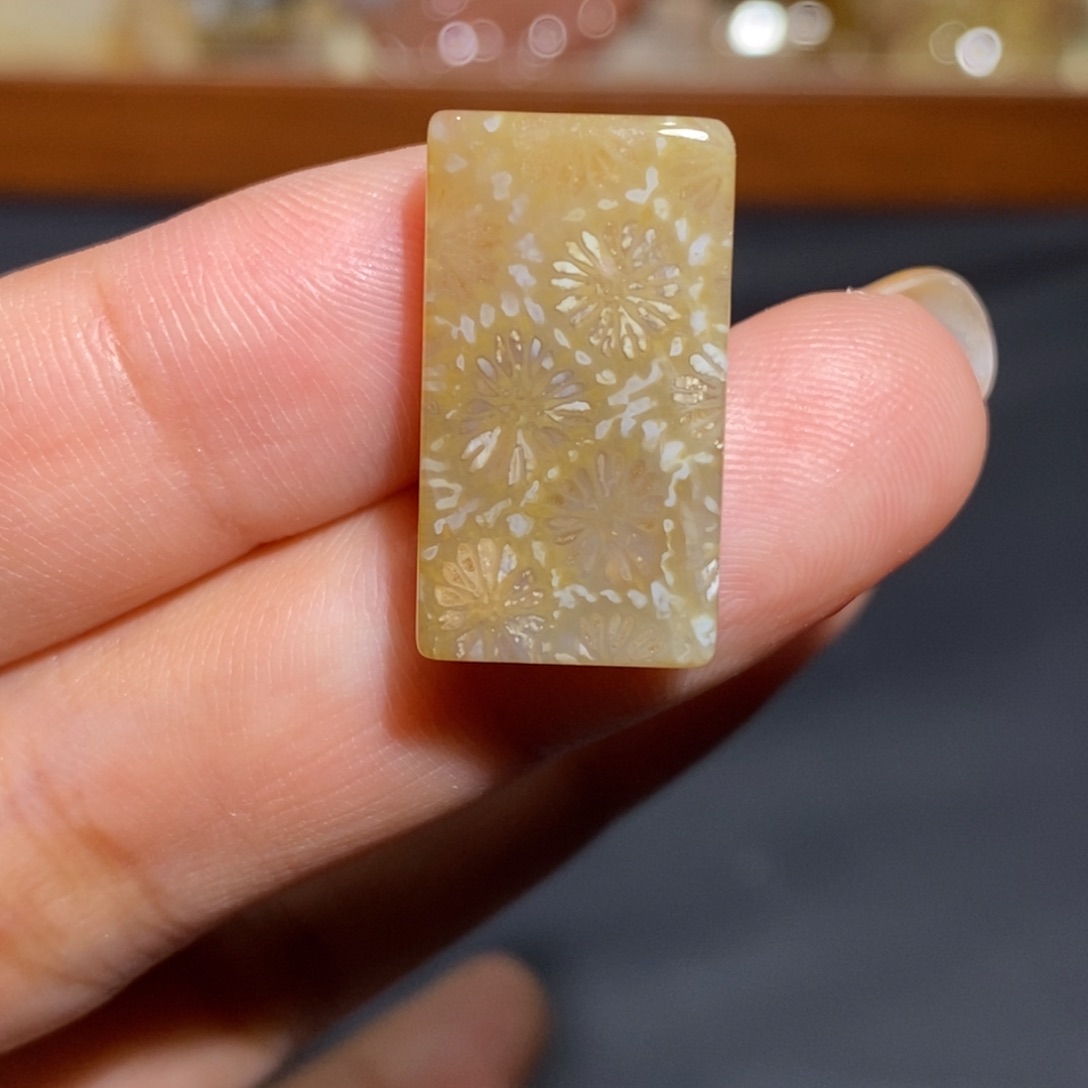 【闪购商品】未镶嵌珊瑚玉硅化玉