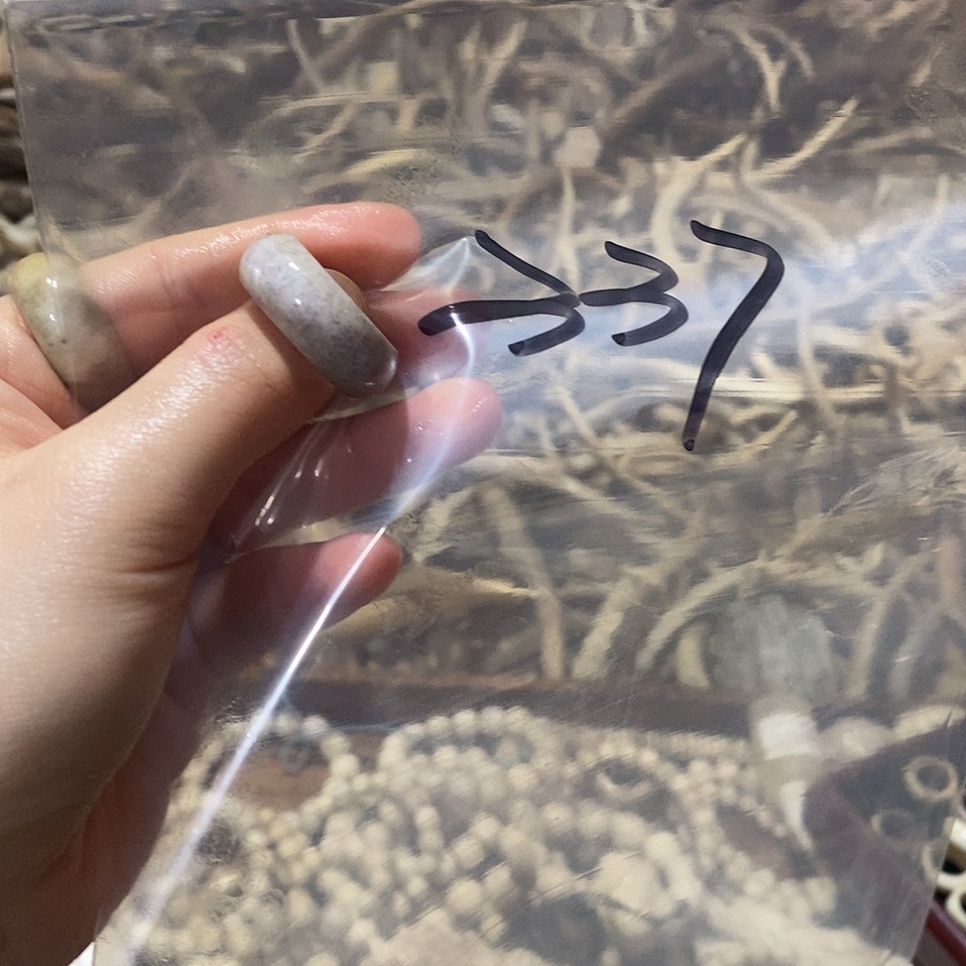 素****非金属鹿角鹿角鹿角