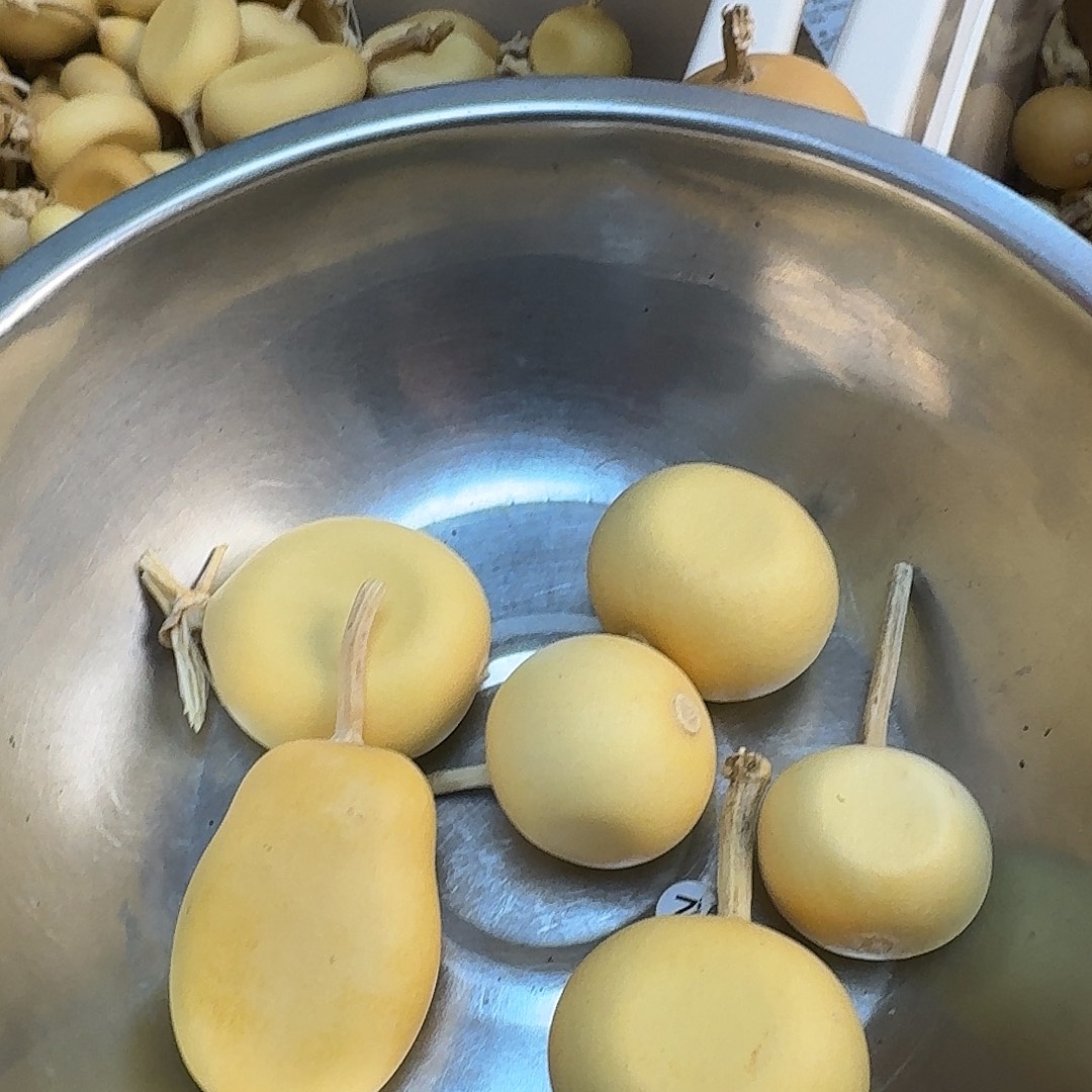 幽***幽直播间葫芦专属链接23