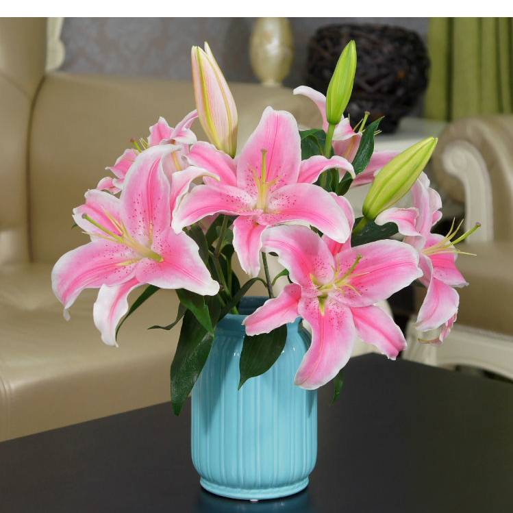 云南香水百合粉百合红百合基地直发包邮