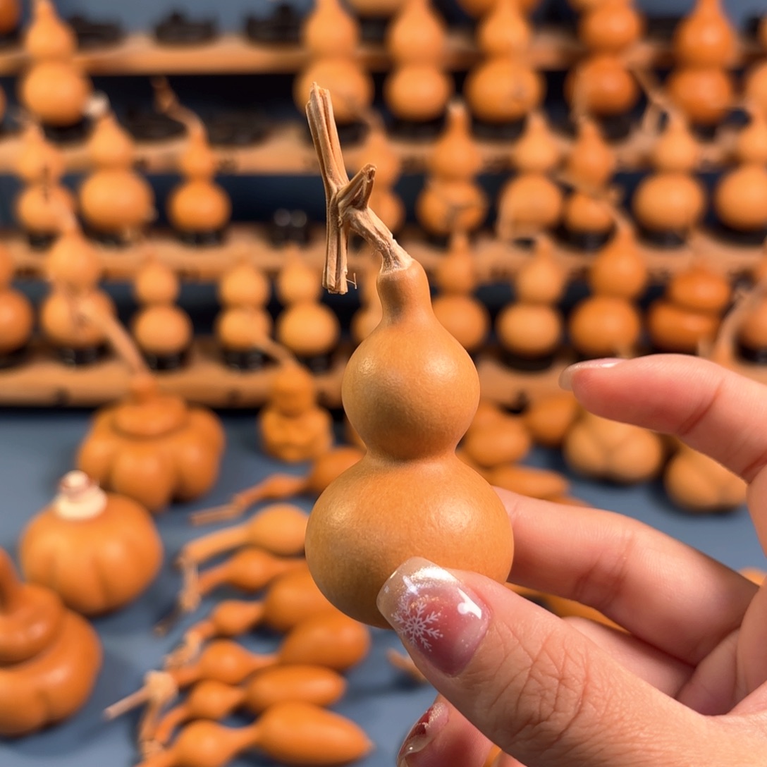 龙***好木木木木木木木木木木木木木木木木