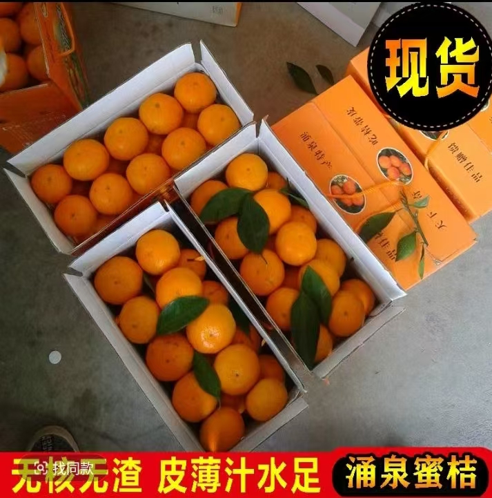【手提礼盒箱】涌泉蜜桔AA无核无籽2025年临海源头新鲜现摘应季水果