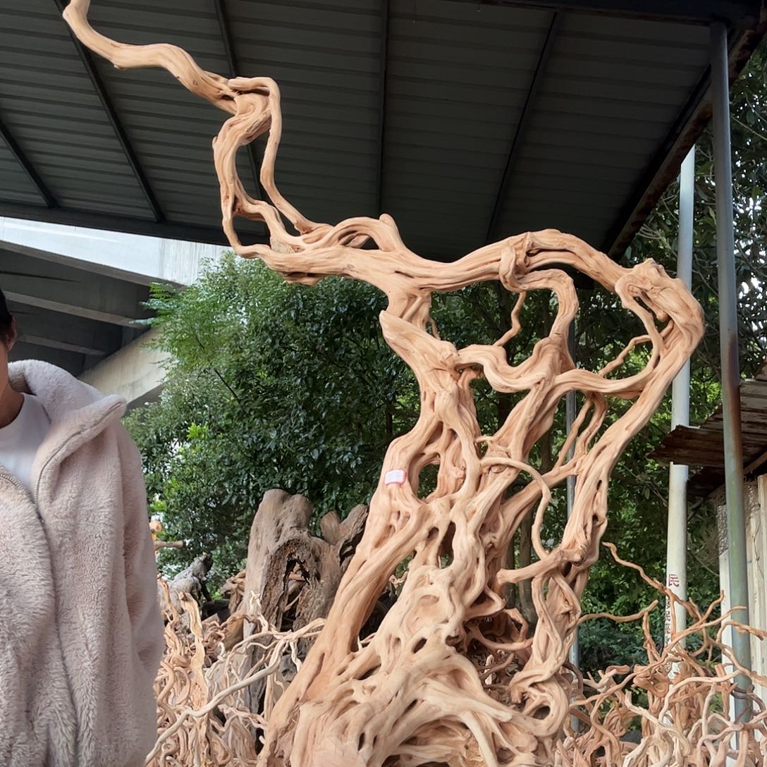 L***N木我是一只小小鸟地域