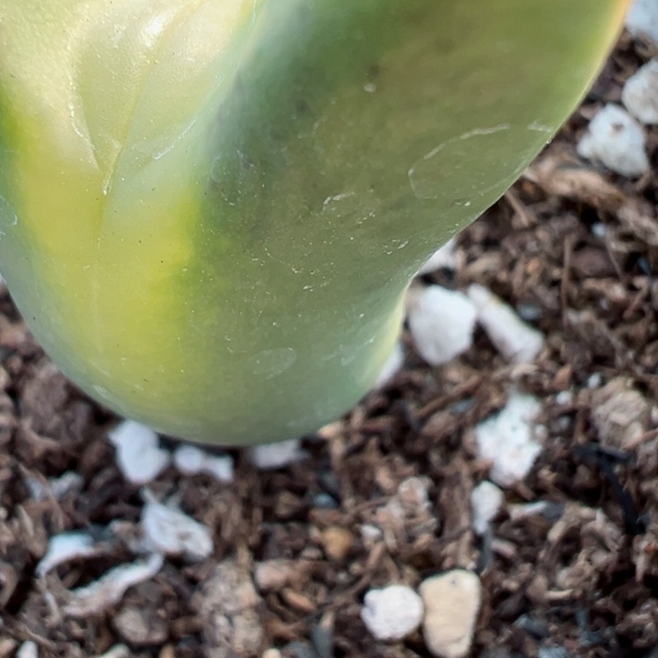 郭***?499干11111111111111