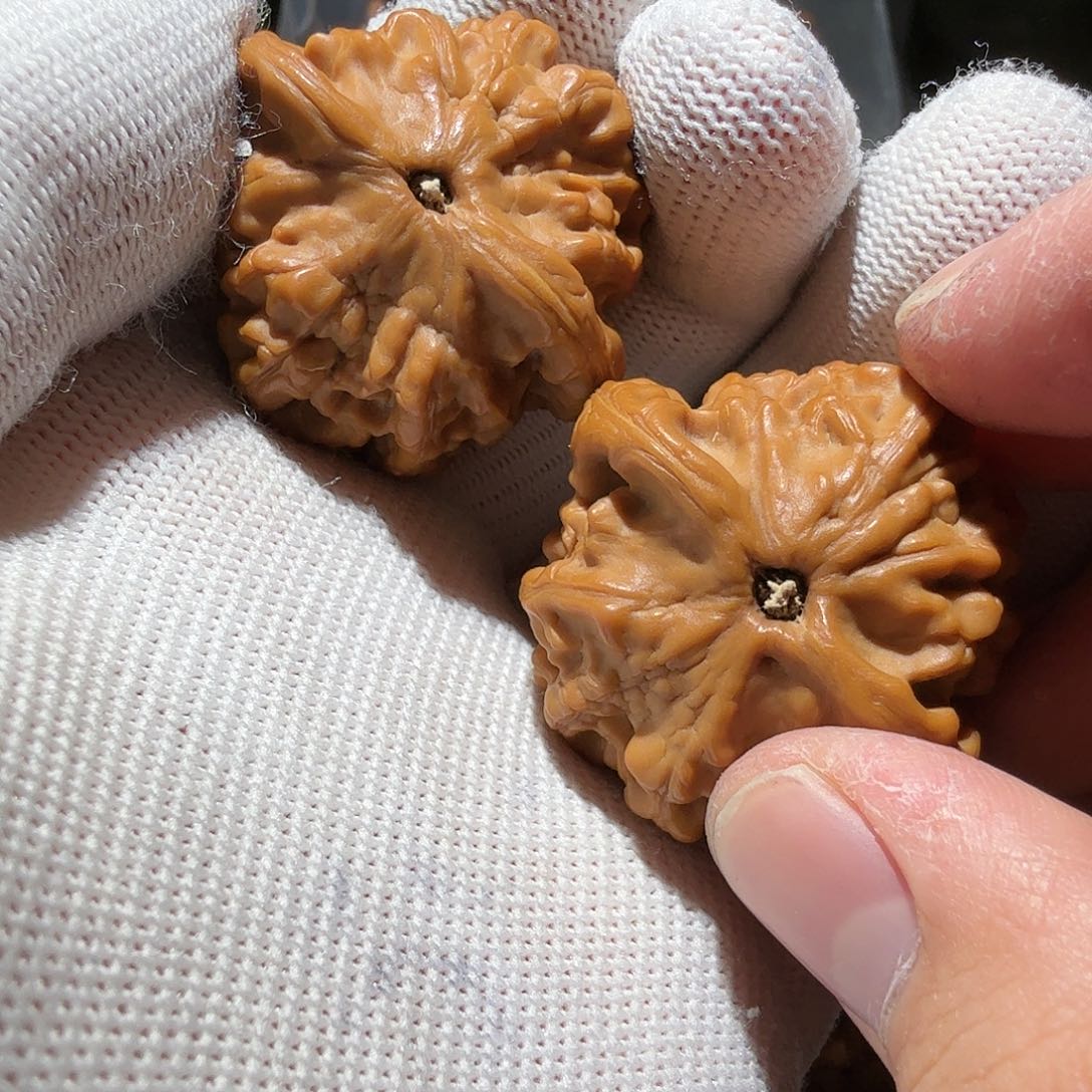 文玩核桃把件小金鱼