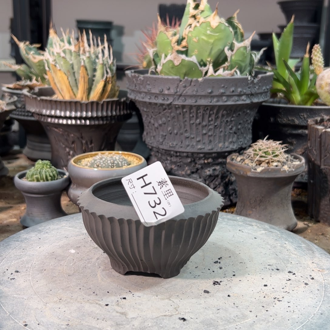 景德镇手工素里内口9高6瑕疵