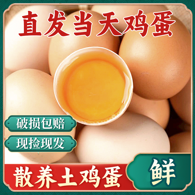 【10枚土鸡蛋】农家散养土鸡蛋  现捡现发  破损包赔 10枚/400g