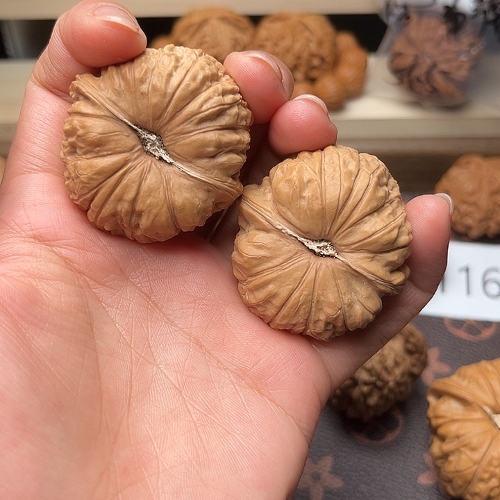 核桃42南瓜墩福利