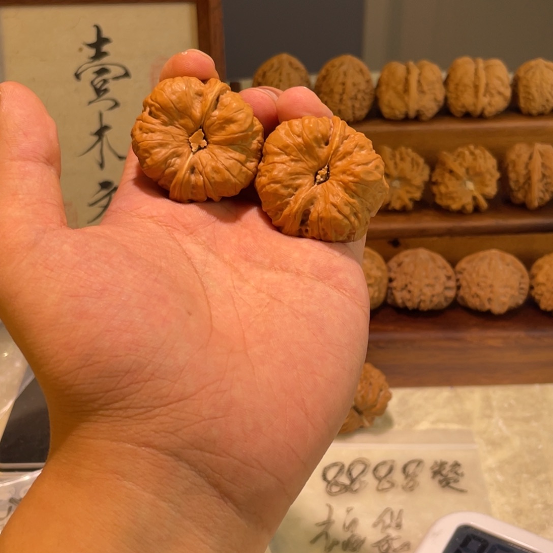 水晶皮蛤蟆头肌肉蛙39