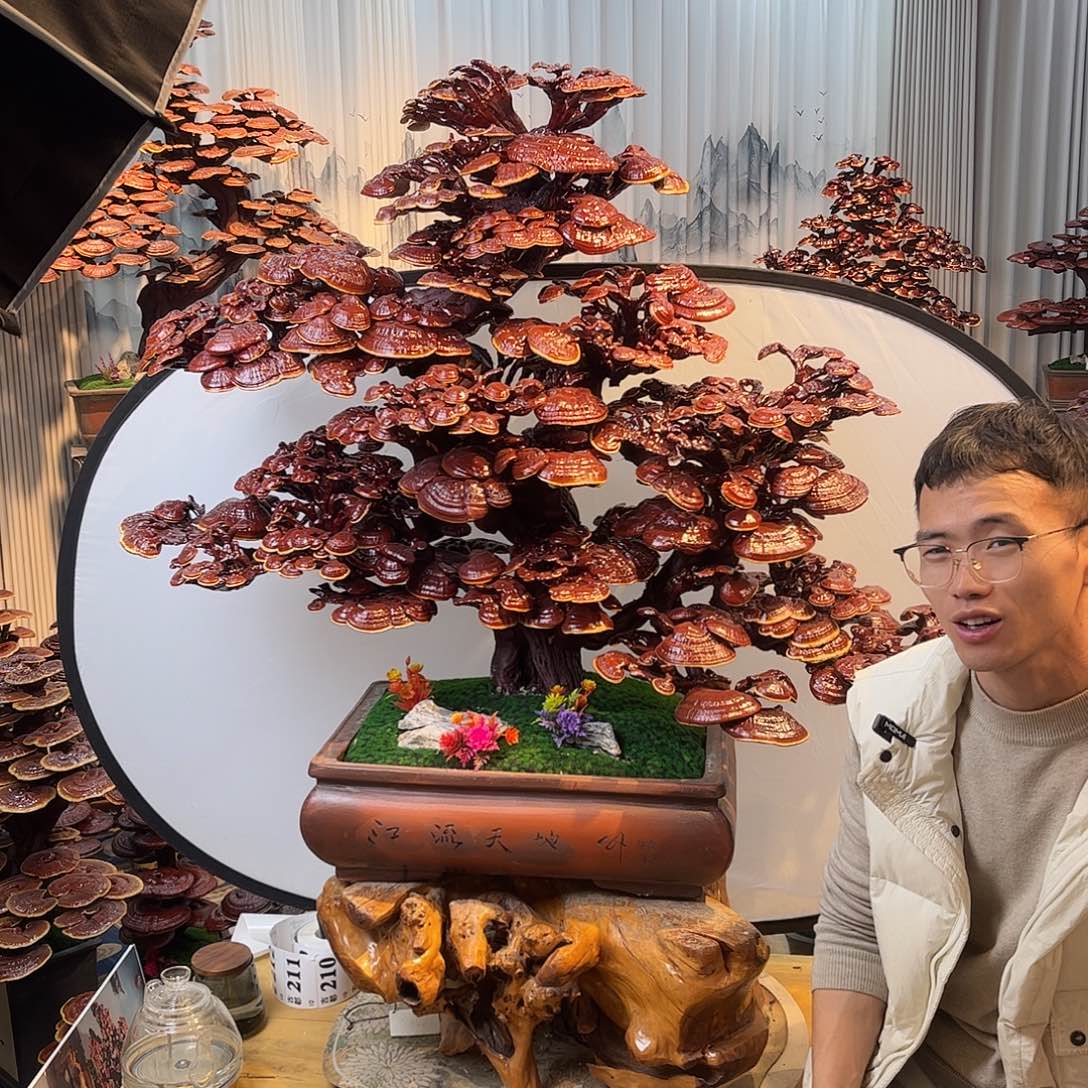 无花朵88888888888