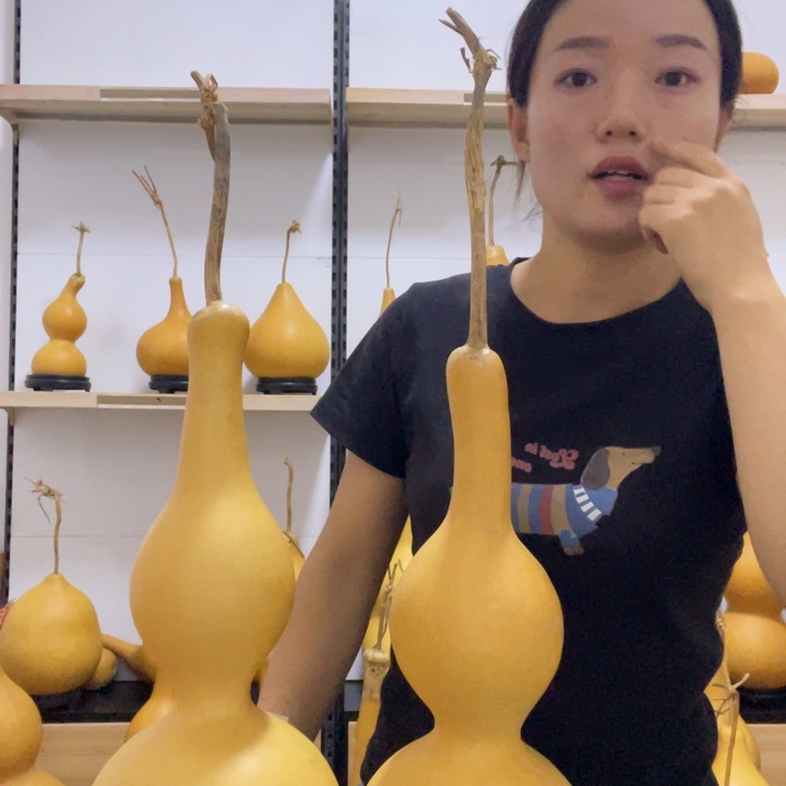S***N记录突突突突突突天