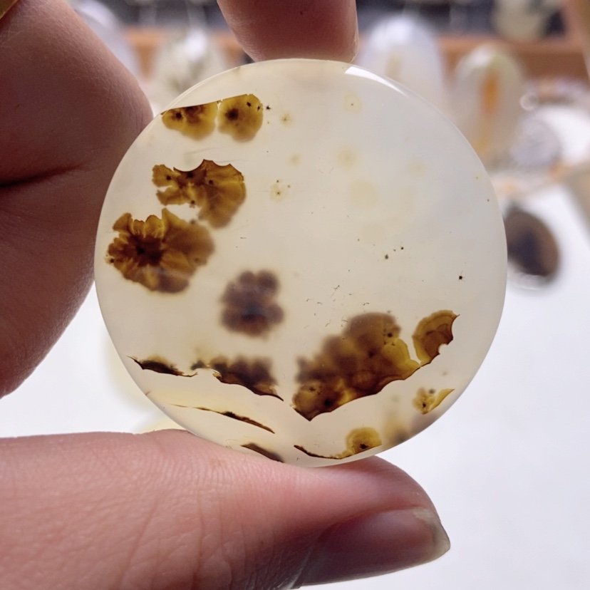 【闪购商品】玛瑙/玉髓颈饰未镶嵌