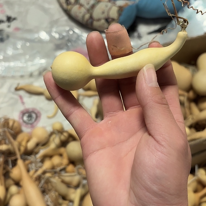 福***、有机玻璃蚂蚁天然葫芦手把件