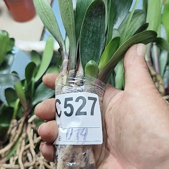 陈***欣完全开放0000000000