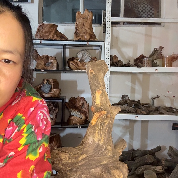 用***8木太行崖柏摆件摆件