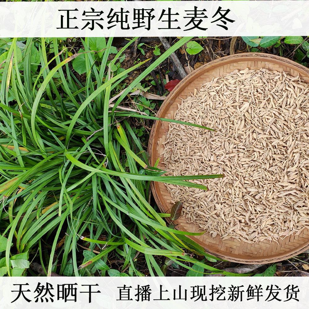 深山纯野生麦冬干货精选无硫天然晒干新鲜现挖玉竹泡水煲汤食材