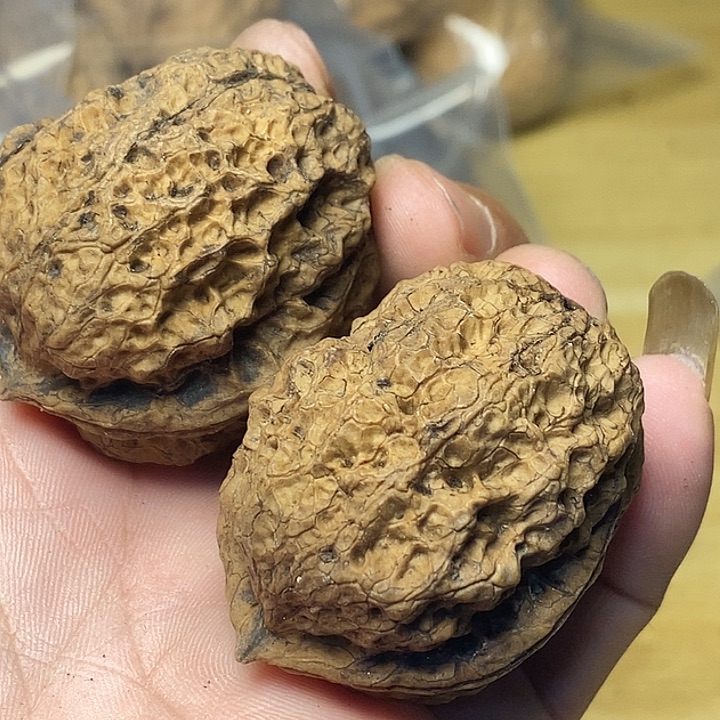 文玩核桃把件云南铁核桃76