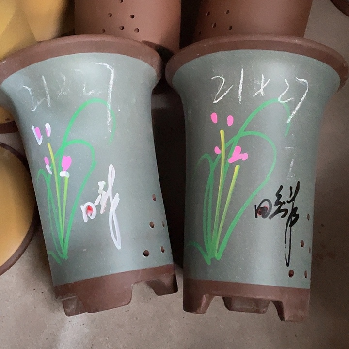 红陶紫砂紫砂紫砂