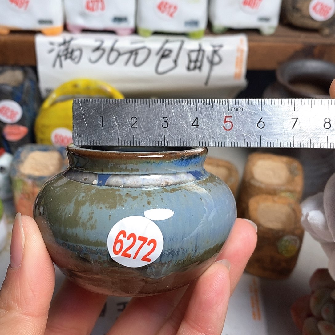 红陶拍5送一个小