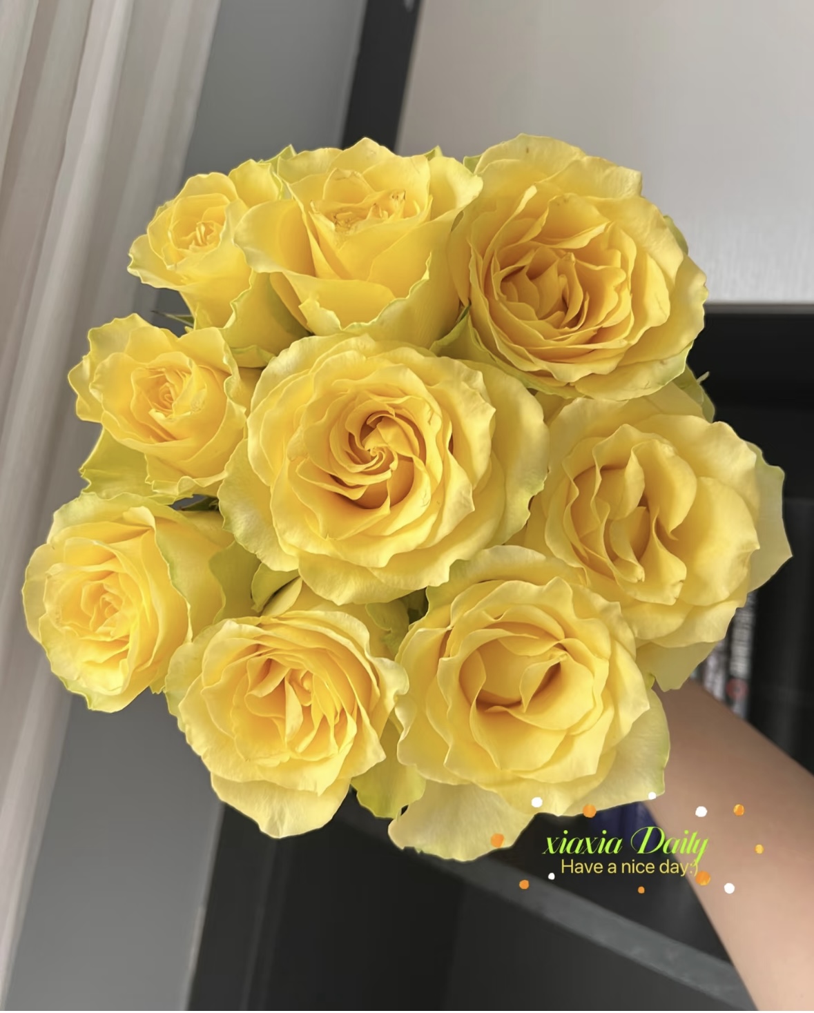 【浪漫沙滩玫瑰鲜花】 【雪姐】 收到花要醒花~云南鲜花批发