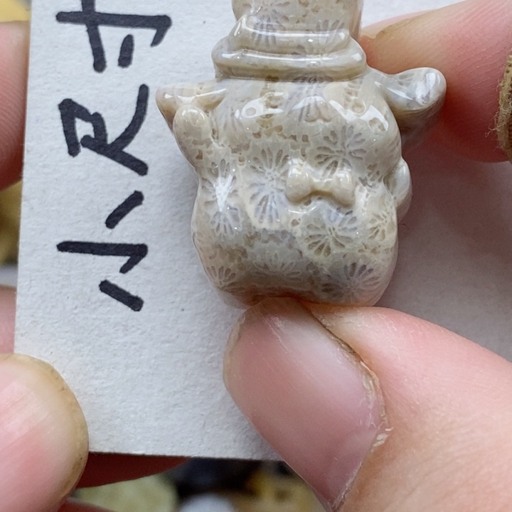 颈饰未镶嵌硅化珊瑚（珊瑚玉）