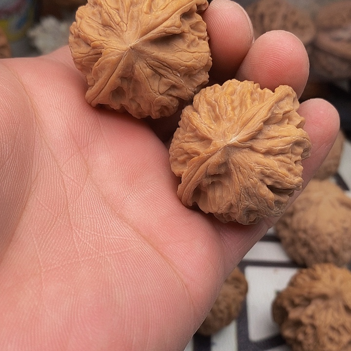 桃核把件开**?野生狮子头