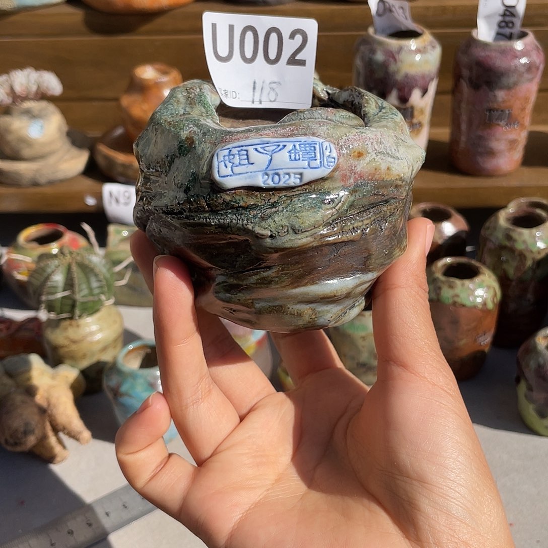 坛子姐花盆 小白孤品 内口5左右