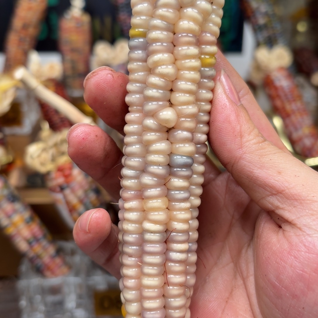 柏香籽/百香籽吊坠h**a