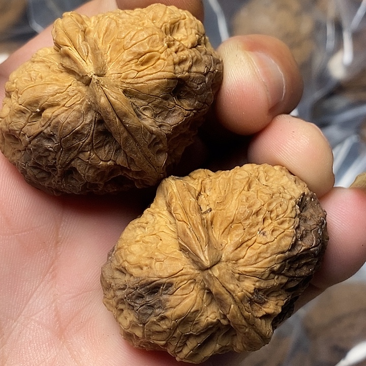 文玩核桃把件云南铁核桃26