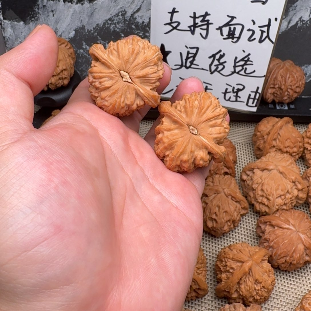 把件文玩核桃L*c40白狮子