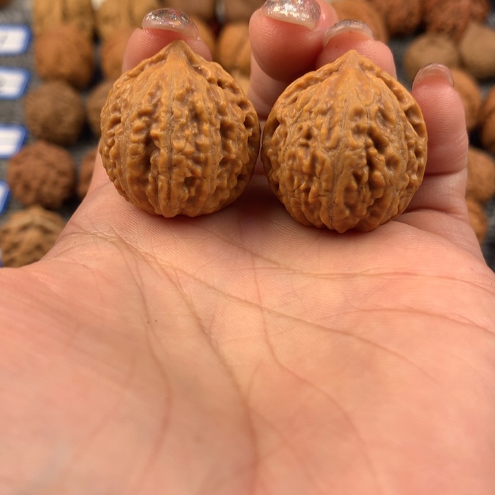 黄金甲。                     