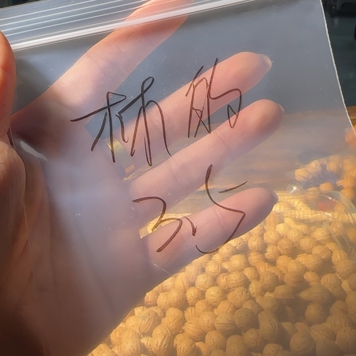 林***丶桃核吊坠福袋包邮