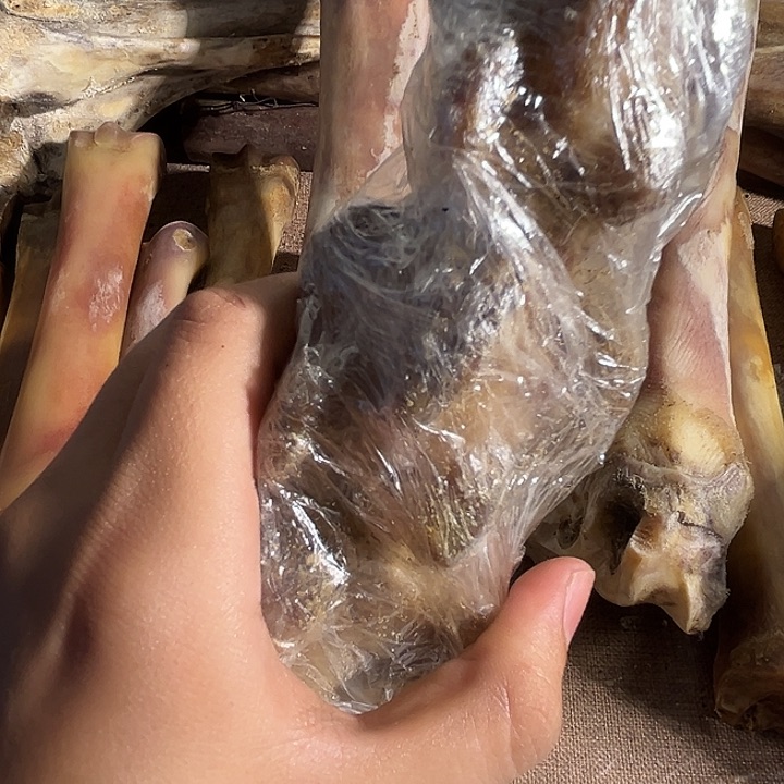 茯*yyhu整根尾骨尾骨尾骨