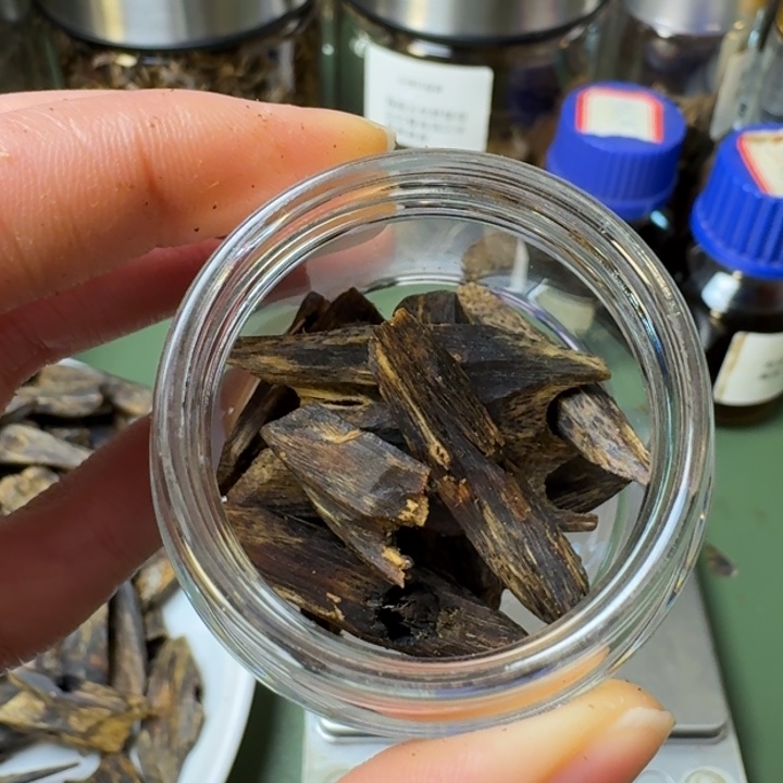 沉香手把件海南紫棋树心油块料10克