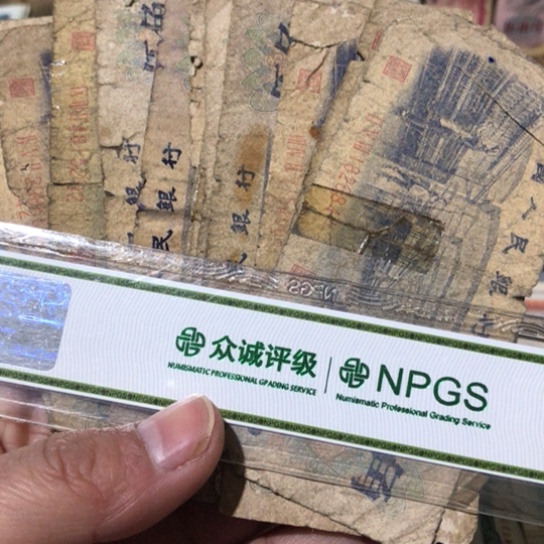 20张破烂福利品五角缺肉