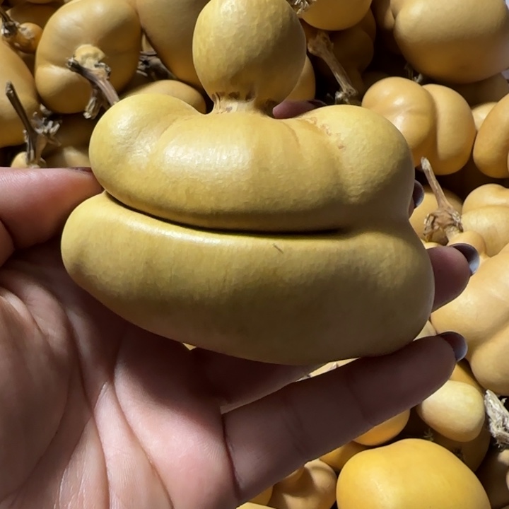 晚***。葫芦钱袋子葫芦手把件