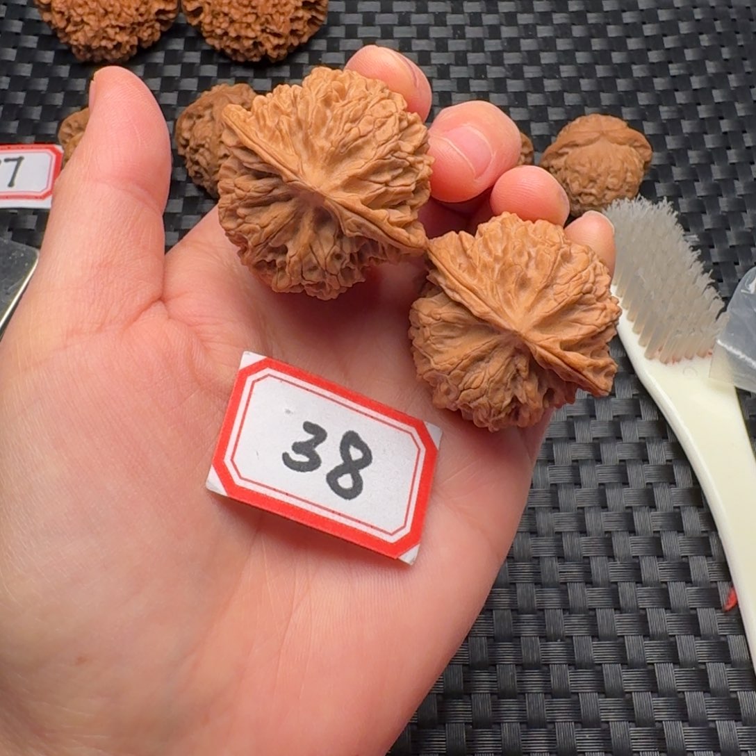 核桃全品41尺苹果园