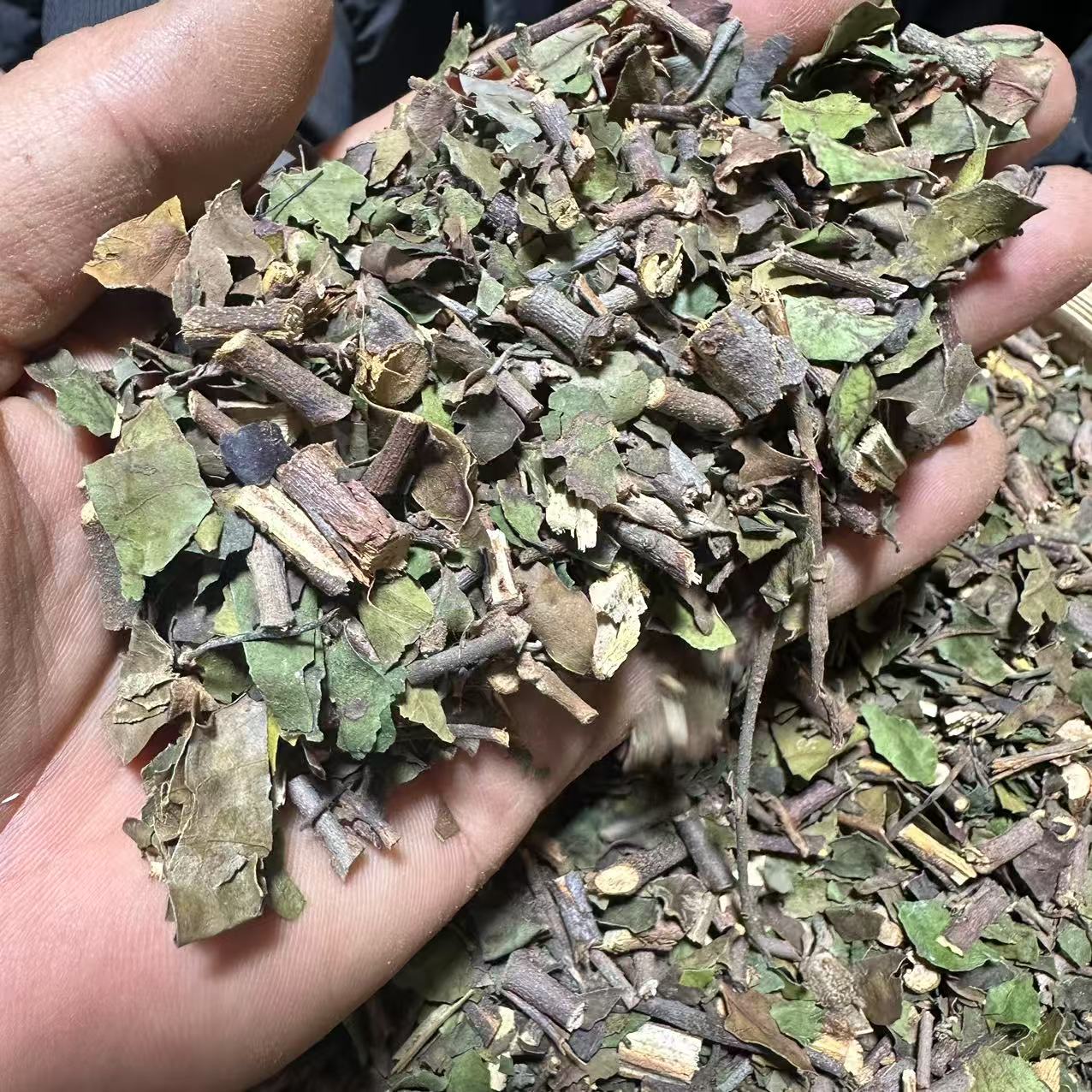 桑寄生 种植桑寄生 无硫桑寄生的带野枝茎 已切段150g 益母草