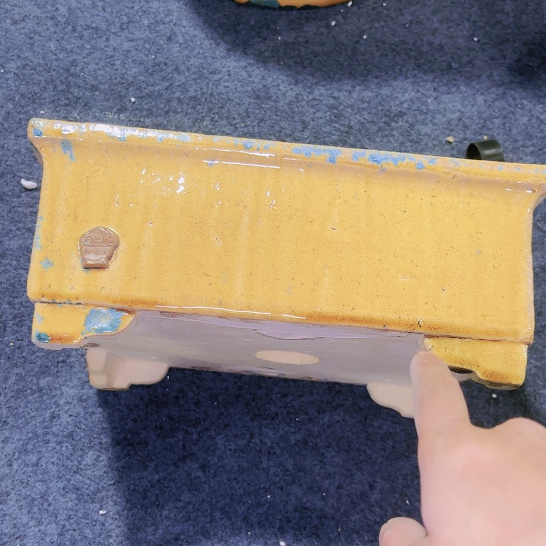 红陶今天仓播一件不留！！!