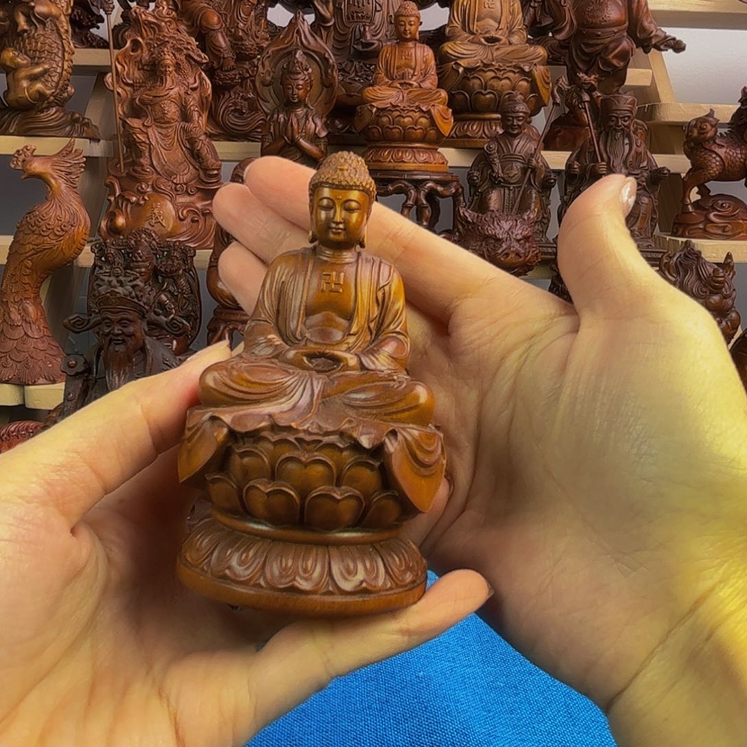 黄杨木与**争小叶黄杨木