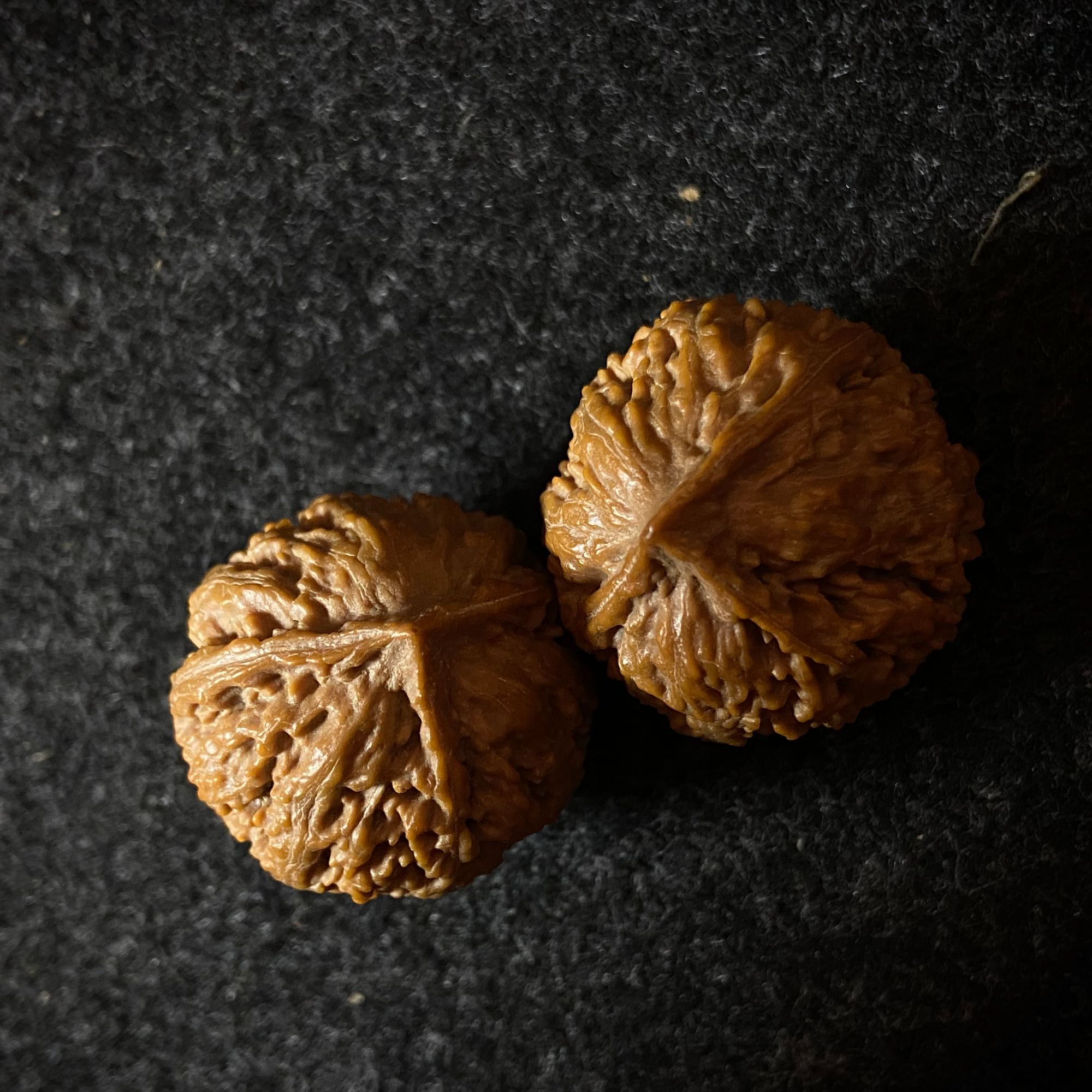 精品三棱或四棱核桃秋子小手捻，纹路清晰桩型饱满，尺寸23左右文玩