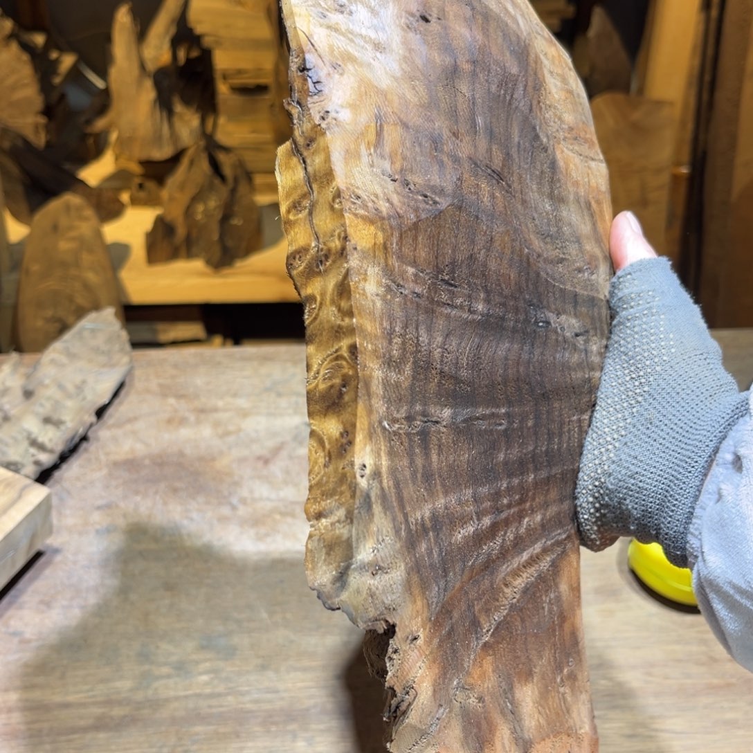 金丝楠金丝楠原材料