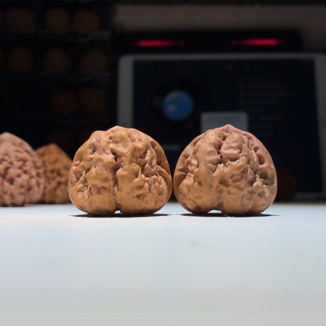 亨***叔文玩核桃把件蛤蟆头37