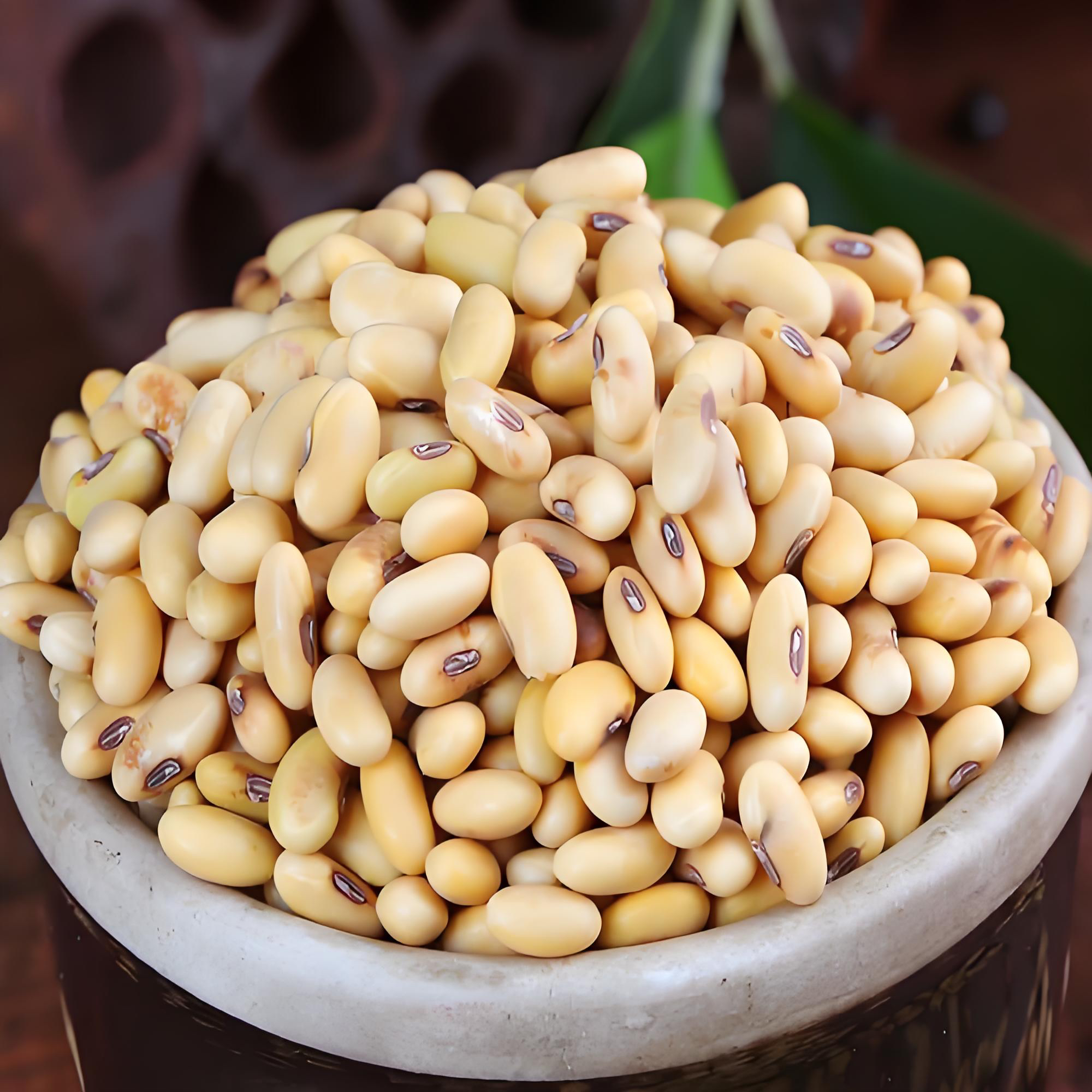【土疙瘩蕾娃】新 陕北农家老品种肾型非转基因土黄豆 