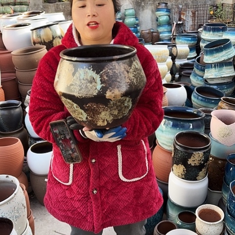 口24高24盆子盆子。