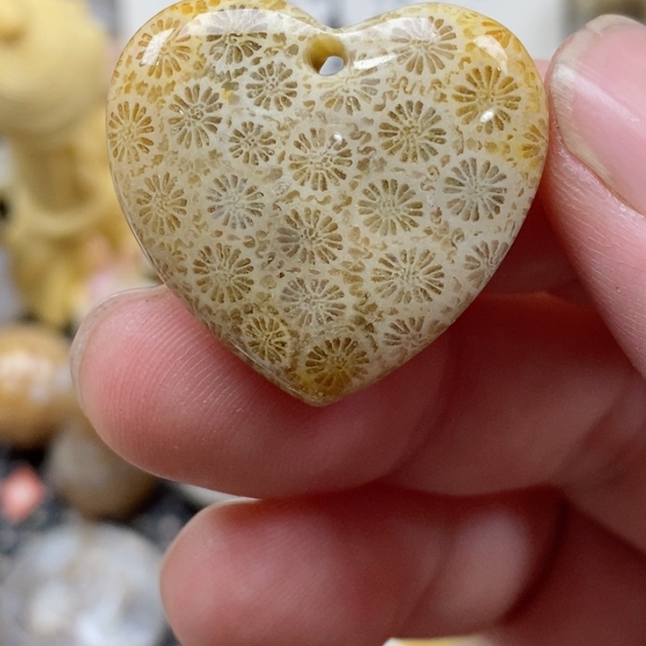 颈饰未镶嵌硅化珊瑚（珊瑚玉）