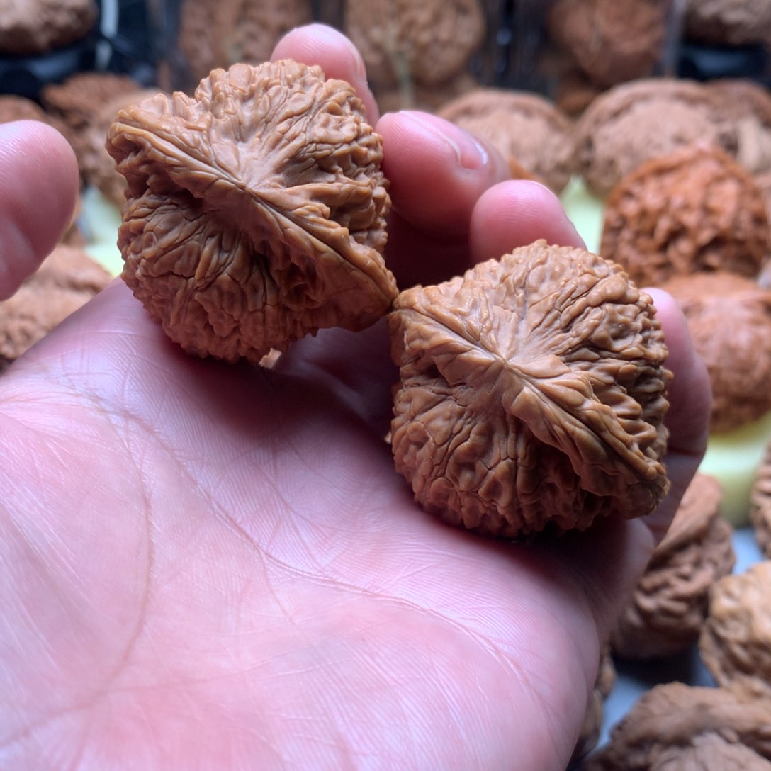 南疆石涿鹿粗筋。