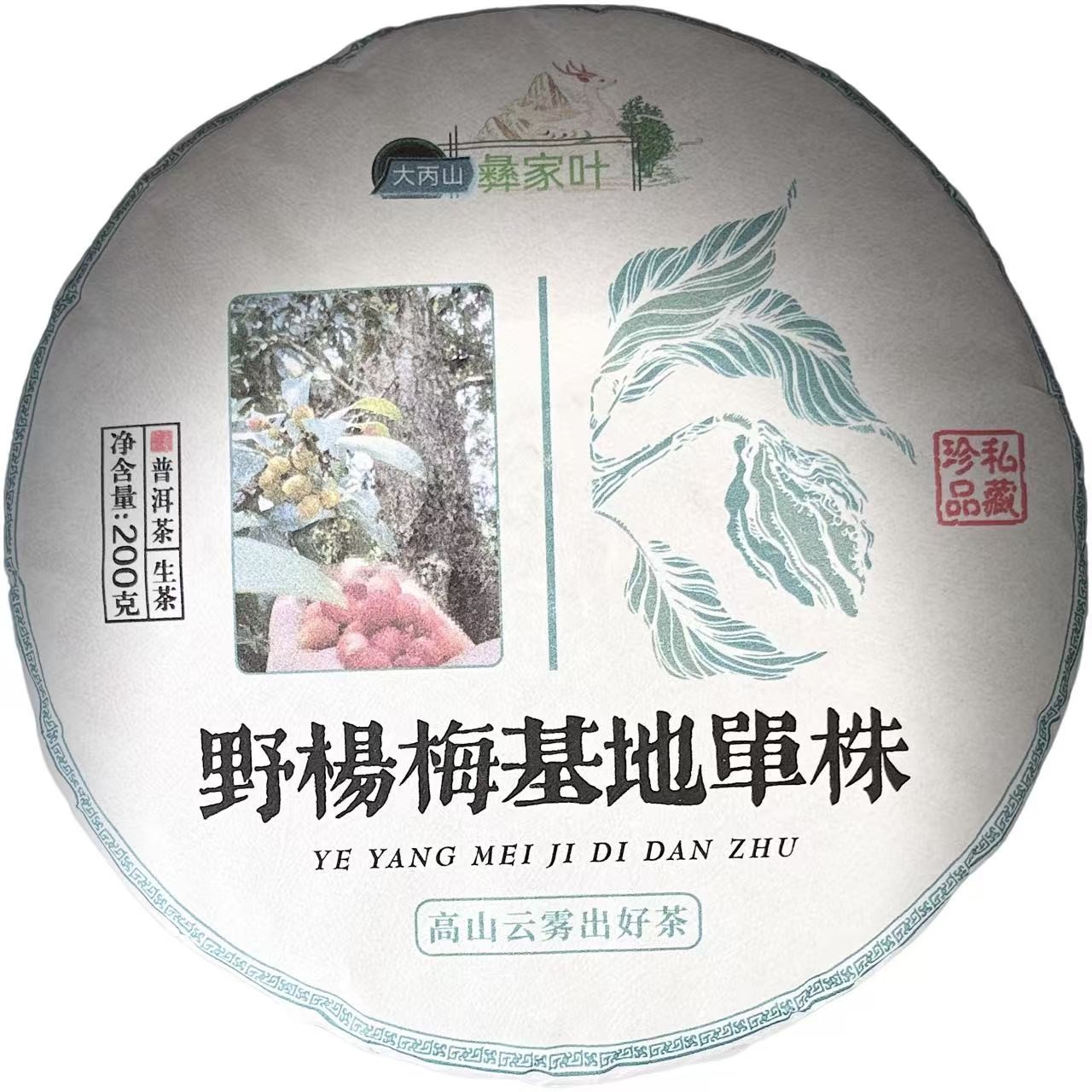 【村长严选1】2025野杨梅基地单株 云南普洱茶 饼茶